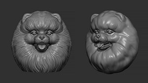 Pomeranian bust 3D model