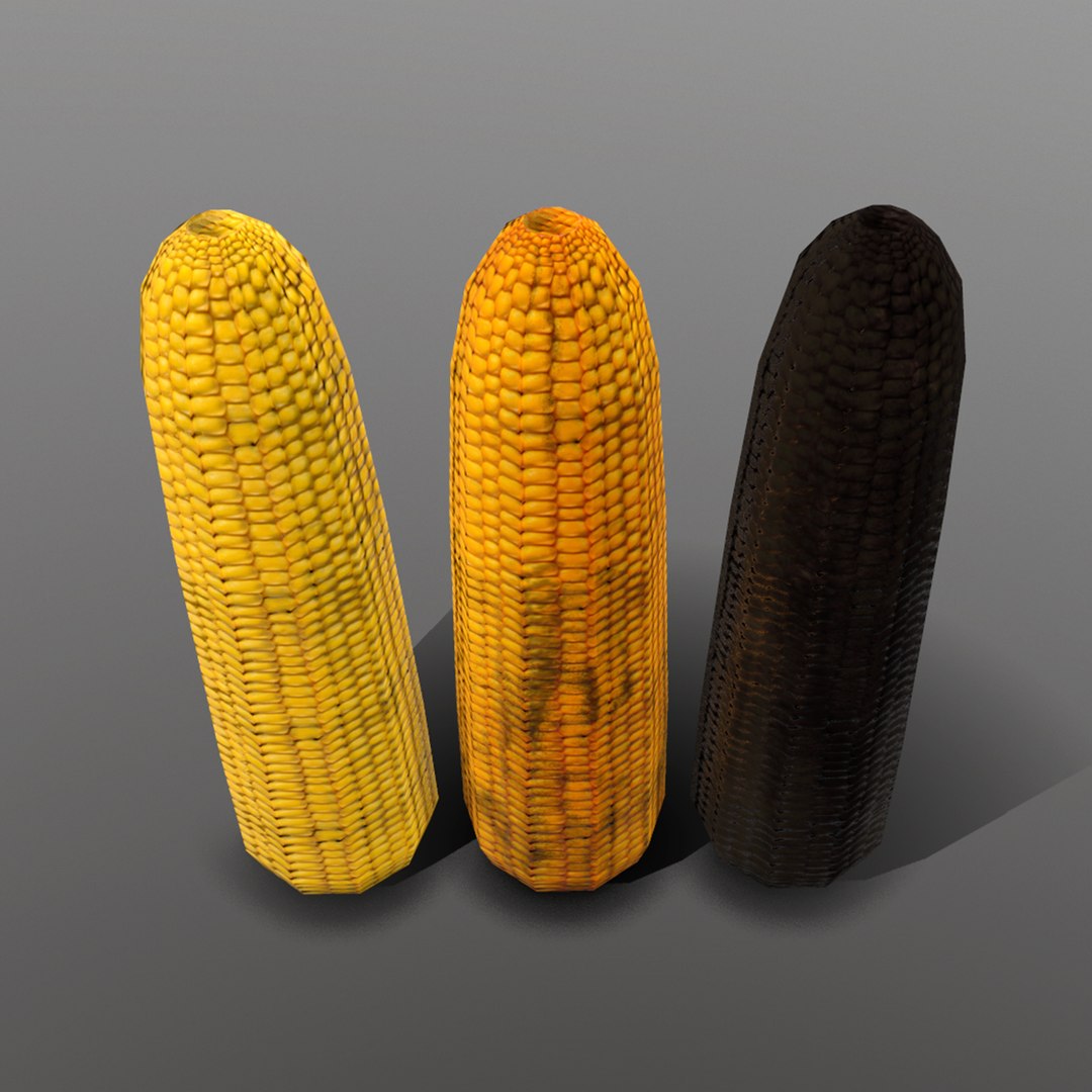 3D corn ready games https://p.turbosquid.com/ts-thumb/Il/optTyY/1RvqkNQJ/3_corn/png/1527105679/1920x1080/fit_q87/8cf4e3687a57df225318b6e98a27c537cde22407/3_corn.jpg