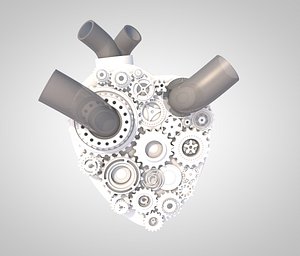 heart science model