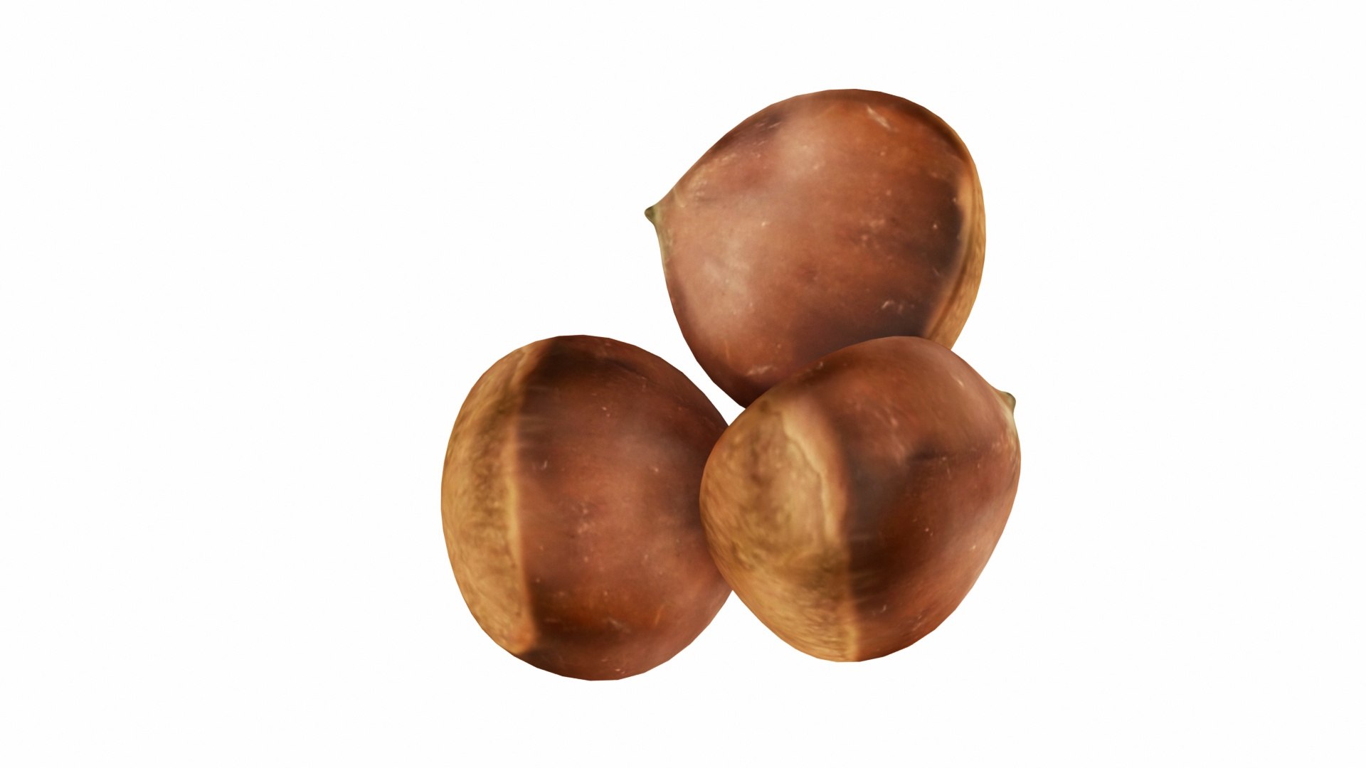 Chest nut 3D model - TurboSquid 1555781