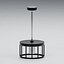 Caged Industrial Pendant - Standard fitting