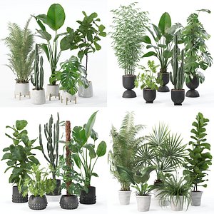 20 Photorealistic Flowers for Interiors - set 122 128 133 139