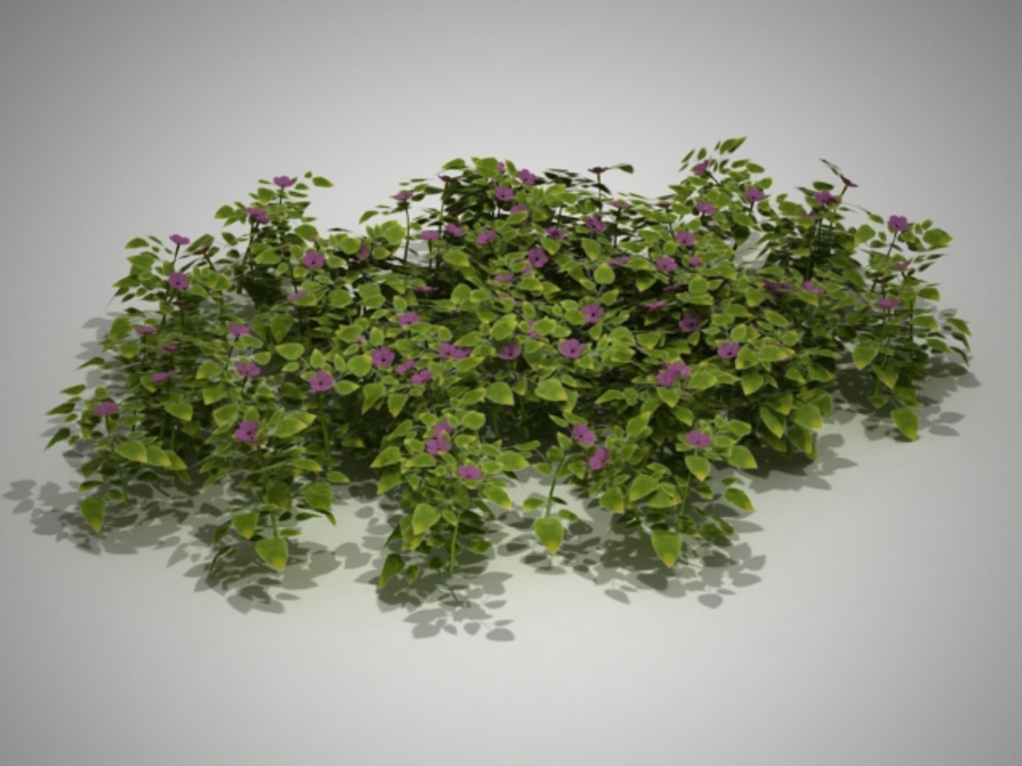 d2 c1 17 vinca max https://p.turbosquid.com/ts-thumb/Im/Az9Mfm/s523Lv3C/flores00001/jpg/1335376855/1920x1080/fit_q87/35617f8ccb73406c62c7ea8f43c8e352c997e800/flores00001.jpg
