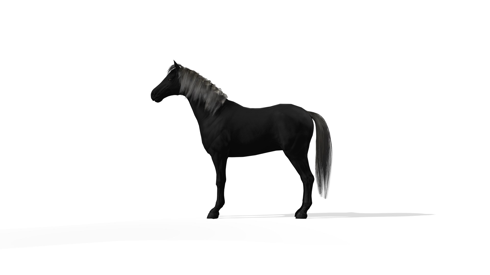 Black Dark Horse 3D https://p.turbosquid.com/ts-thumb/Im/ETxviZ/7E/screenshot3/jpg/1655335816/1920x1080/fit_q87/fe071c4dc2b1c2d1e64bdc8e89de75cc254b34de/screenshot3.jpg