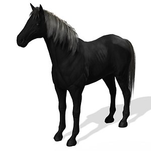 Black Dark Horse 3D