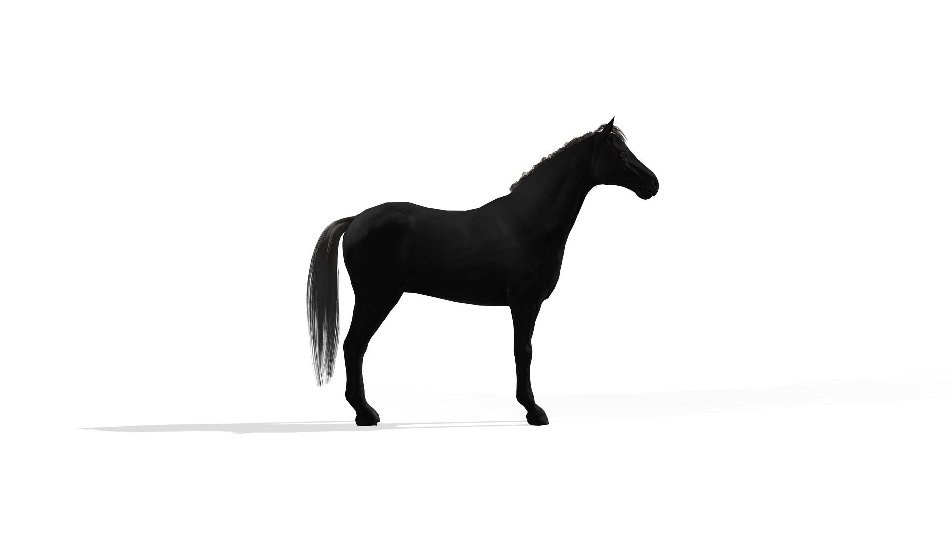 Black Dark Horse 3D https://p.turbosquid.com/ts-thumb/Im/ETxviZ/TY/screenshot5/jpg/1655335814/1920x1080/fit_q87/c9b99061d82b93de471beb02c8cbcd4146ee1c4d/screenshot5.jpg