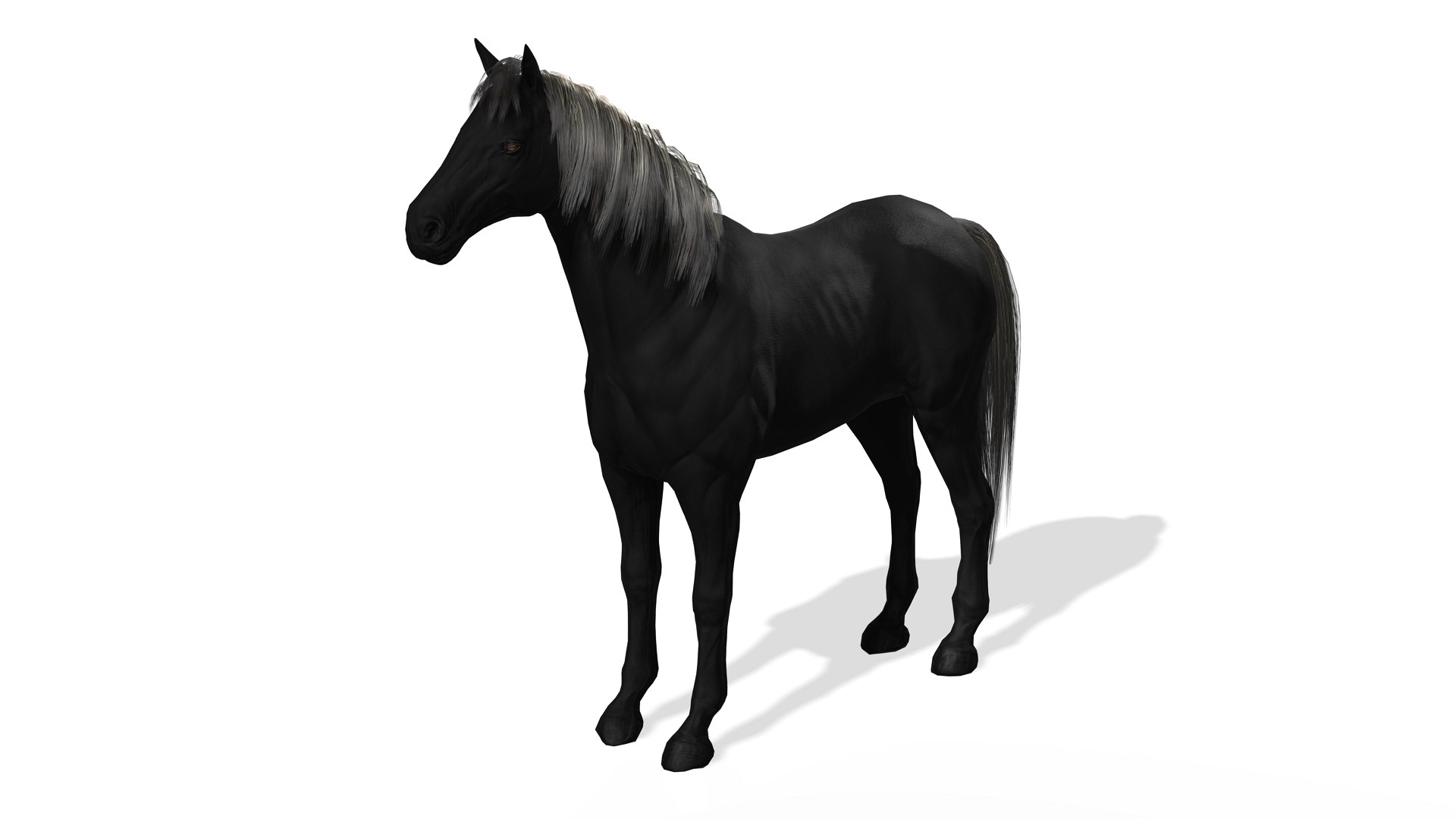 Black Dark Horse 3D https://p.turbosquid.com/ts-thumb/Im/ETxviZ/gW/screenshot1/jpg/1655335388/1920x1080/fit_q87/9d59323bcc8d4bc5910eb1e1039384959a4fbba0/screenshot1.jpg