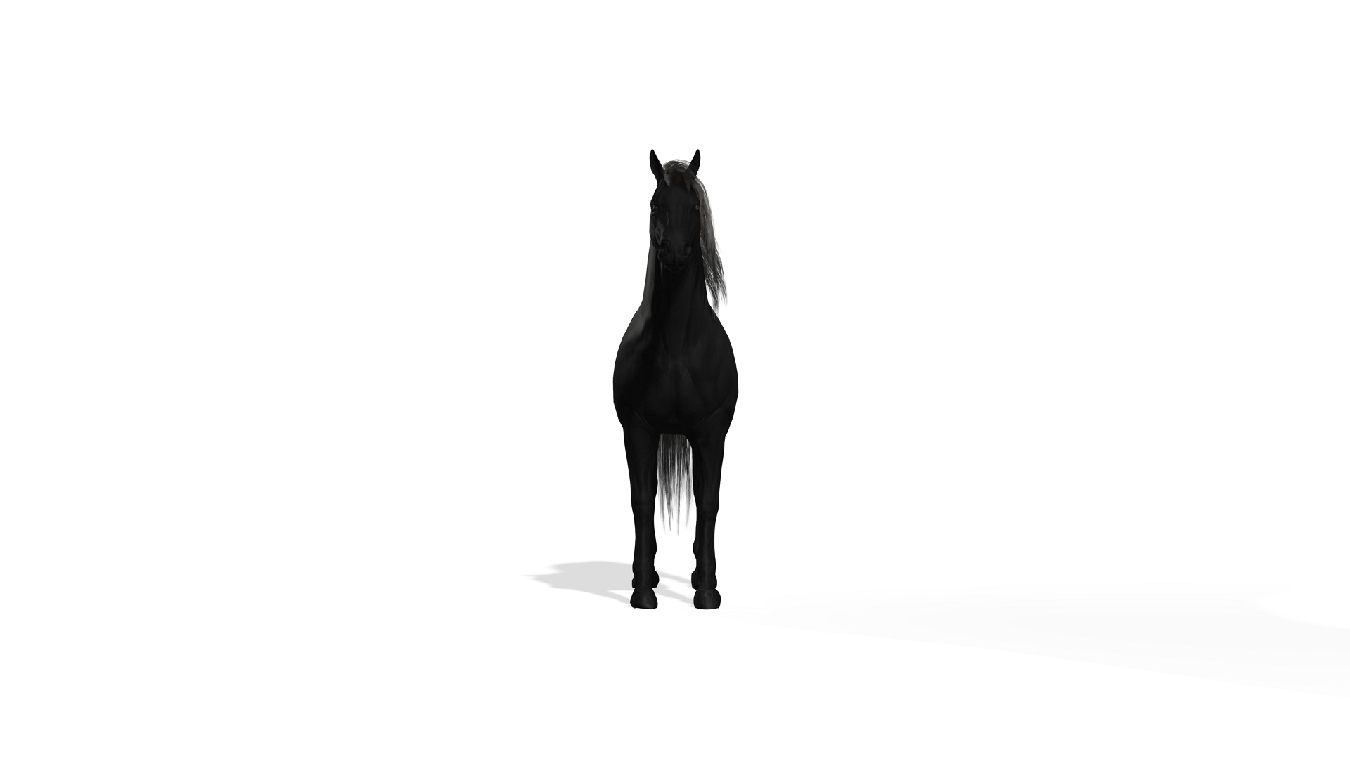 Black Dark Horse 3D https://p.turbosquid.com/ts-thumb/Im/ETxviZ/uM/darkhouseturntable/jpg/1655336667/1920x1080/turn_fit_q99/c80e8e2a321a49fb7fe451922b55bea8a3c56df7/darkhouseturntable-1.jpg