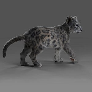 3D Fur Baby Snow Leopard Rigged in Blender