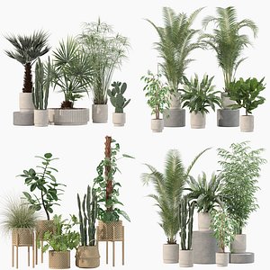 3D 20 Photorealistic Flowers for Interiors - set 203 205 213 218