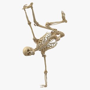 3D model Real Human Female Skeleton Pose 116(1)