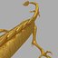twoDragon rigged  gold & col