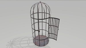 3D Metal Cage 2