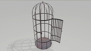 Metal Cage 2