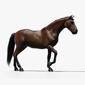 Horse animated