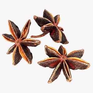 3D Dried anise flowers