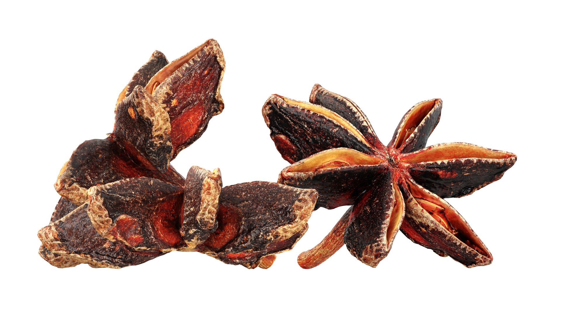 3D Dried anise flowers https://p.turbosquid.com/ts-thumb/Im/ZeP7jg/AQ/005/jpg/1765195659/1920x1080/fit_q87/0b74e0bd3bc30aeaed02d458c05c95e8894eaa0c/005.jpg