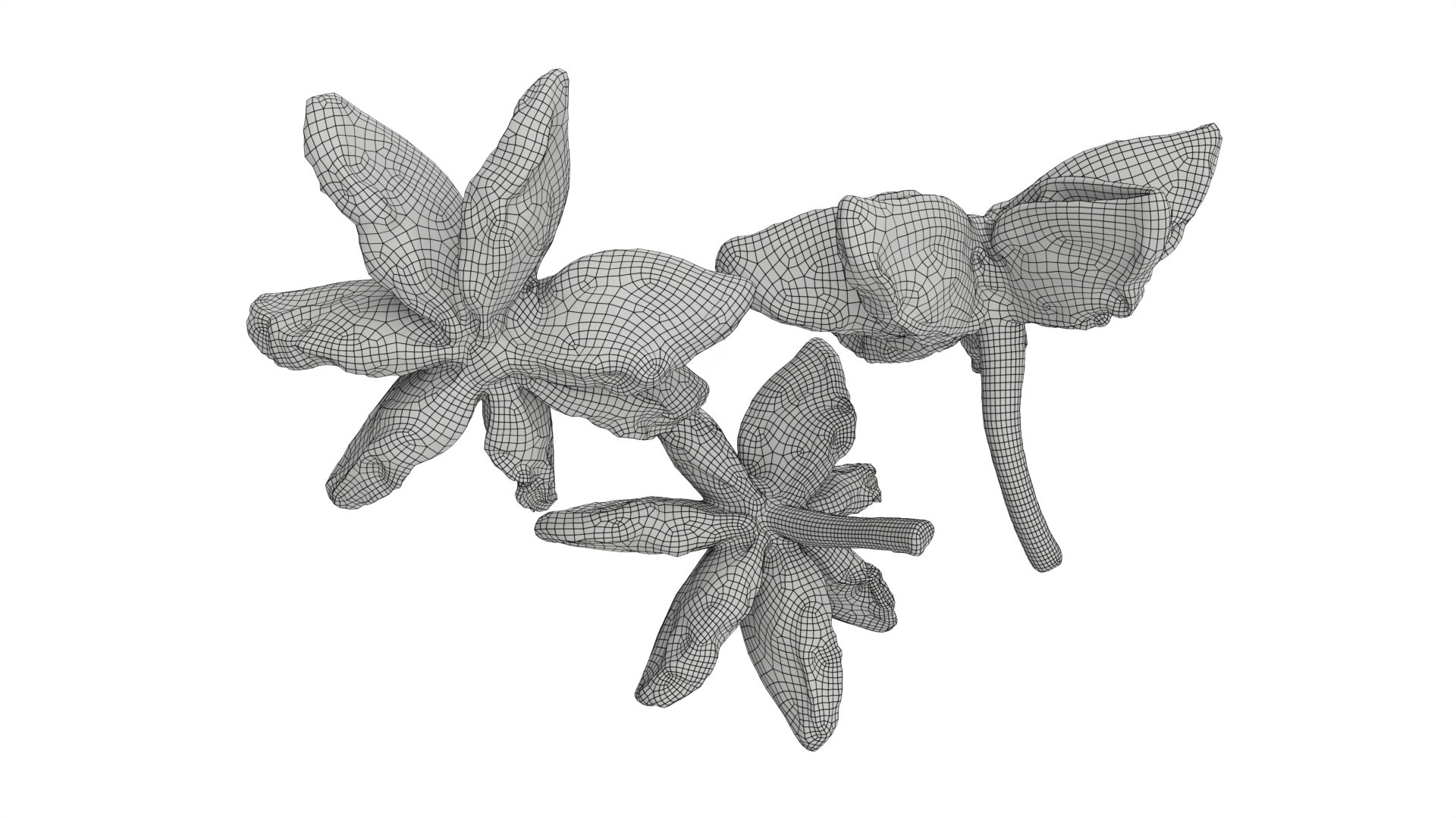 3D Dried anise flowers https://p.turbosquid.com/ts-thumb/Im/ZeP7jg/Qa/008/jpg/1765195661/1920x1080/fit_q87/4d3837cff52a342af00732aea35c52d40d86e609/008.jpg