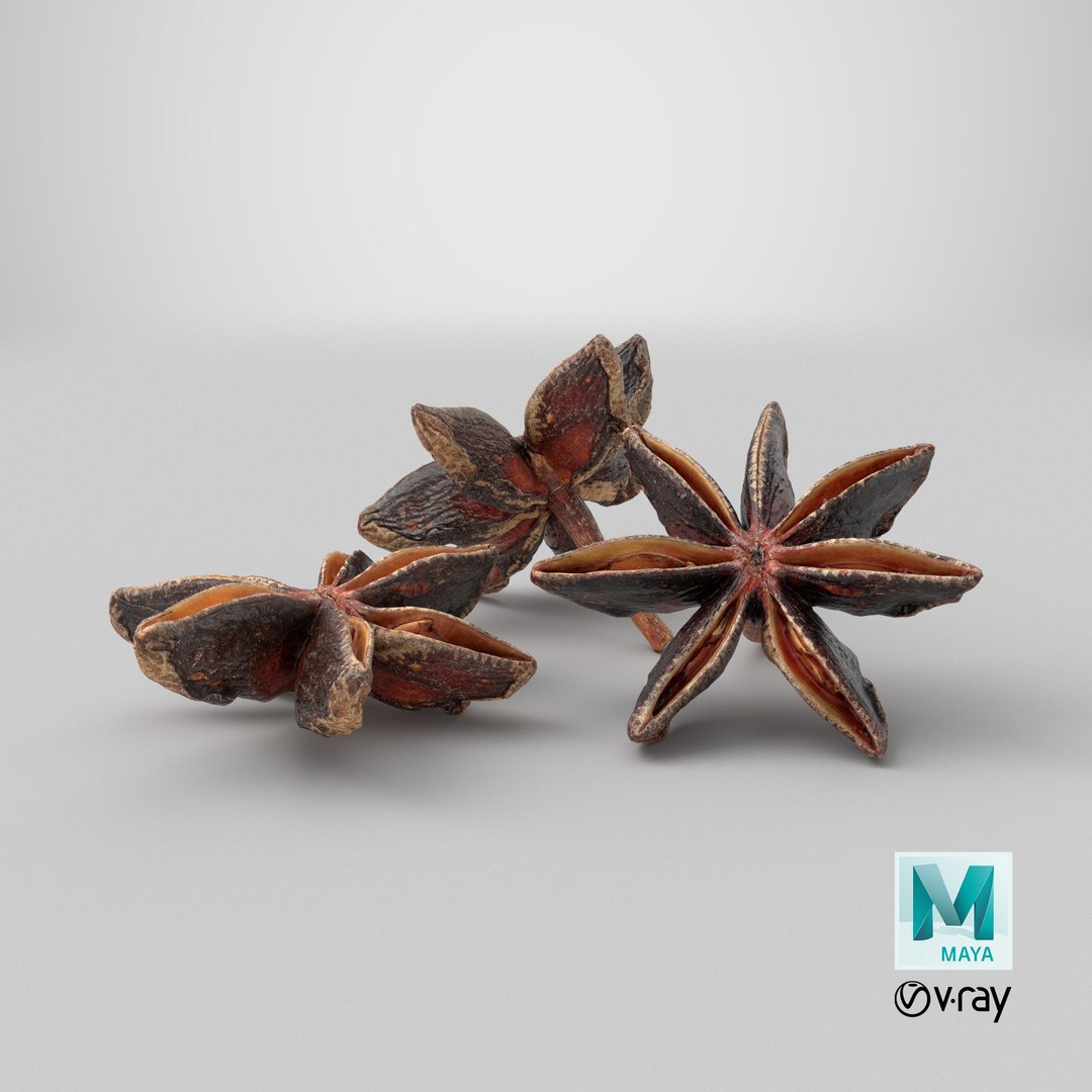 3D Dried anise flowers https://p.turbosquid.com/ts-thumb/Im/ZeP7jg/lM/stemcell_maya_vray_render/png/1765470193/1920x1080/fit_q87/8ccd06e8435b68845b2d92dd4206c494f4ed03f4/stemcell_maya_vray_render.jpg