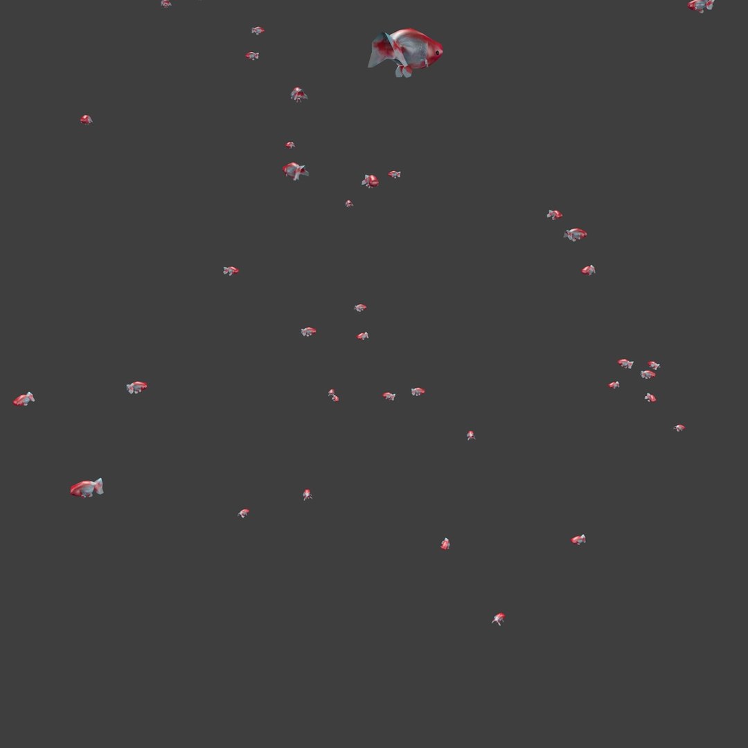 3D white red ranchu goldfishes model - TurboSquid 1408239