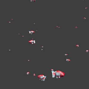 3D white red ranchu goldfishes model