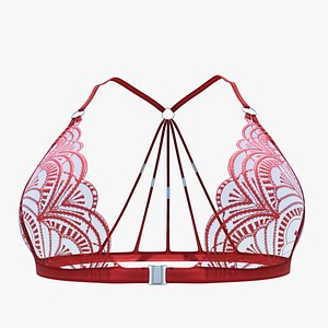 Triangle Bra SS81 3D model