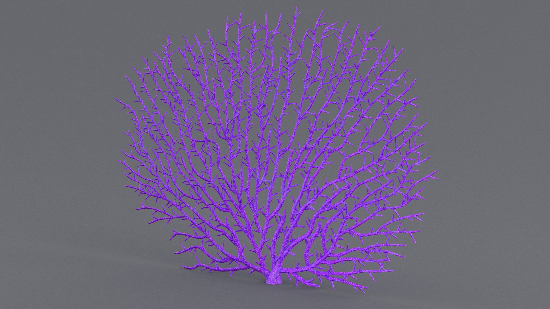 3D model gorgonaria coral https://p.turbosquid.com/ts-thumb/Im/k8zjhU/6DLGfQaU/gorgonaria_05/jpg/1575304644/1920x1080/fit_q87/5c94143ea6d14b6aa4e5f97b6d86db6ba14b753b/gorgonaria_05.jpg