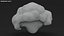 Cauliflower Slice Set 3D model