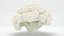 Cauliflower Slice Set 3D model