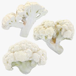 Cauliflower Slice Set 3D model