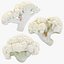Cauliflower Slice Set 3D model