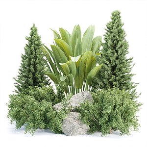 3D Garden Plants Collection V352 model