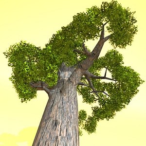 3d north redwood wood