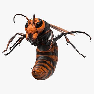 Huge Hornet Rigged for Cinema 4D 3D