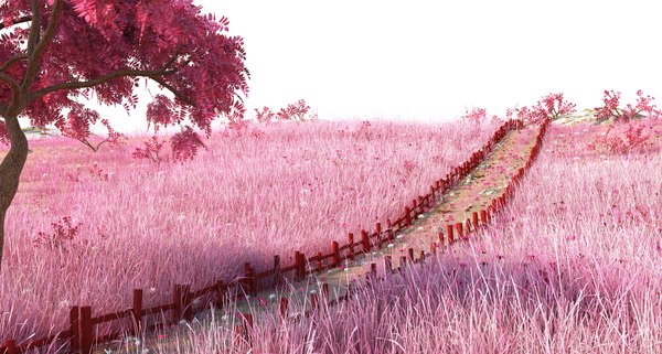 【ギフト】 Meadow Road 牧草地の道 暗かっ 絵画