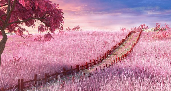 meadow japan japanese 3D model