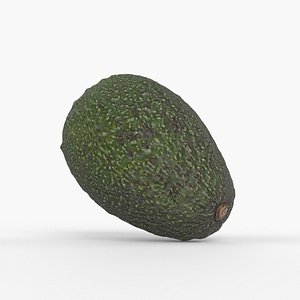 3D Photorealistic 3D Scanned Avocado