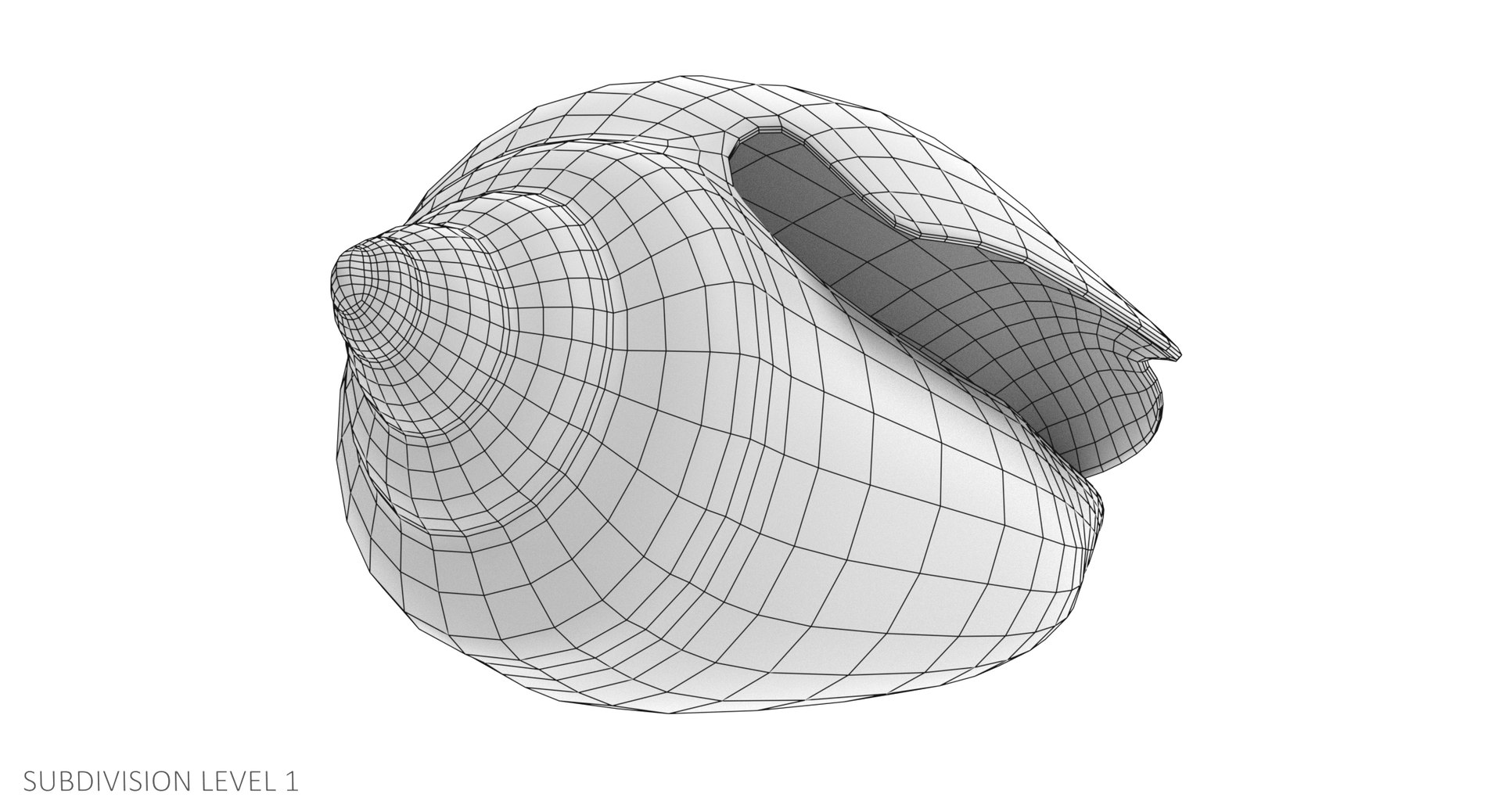 Seashell Pbr 3D Model - TurboSquid 1226260