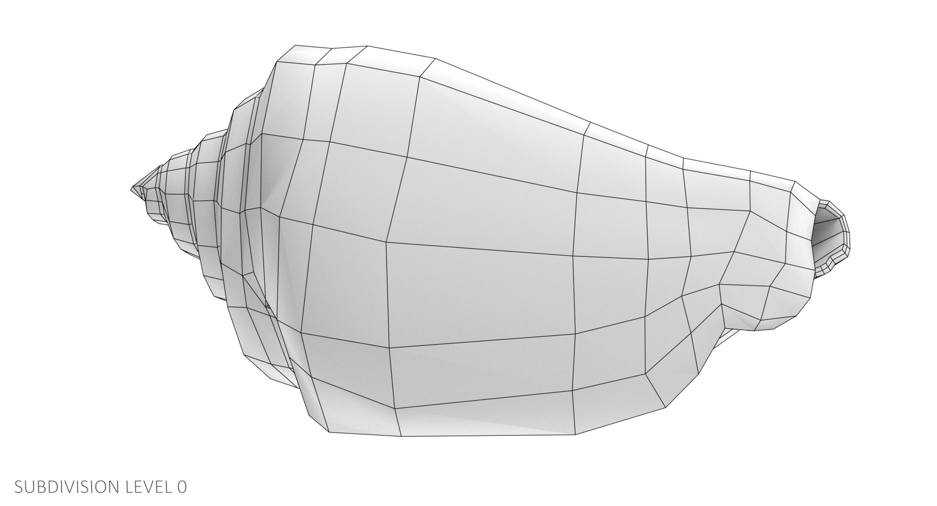 Seashell Pbr 3D Model - TurboSquid 1226260