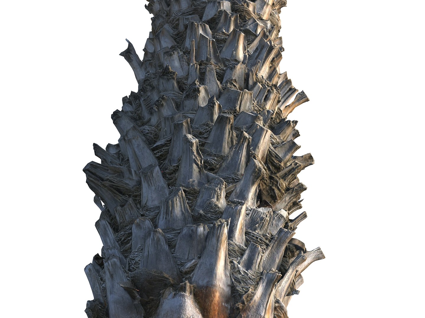 3D model palm pack 9 tree https://p.turbosquid.com/ts-thumb/In/MEwaJX/UpL8Vsk3/0090/jpg/1567118340/1920x1080/fit_q87/e61b61f316a210a5cce1da081dc241dbcb045323/0090.jpg