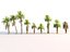 Palm Animated Pack 9