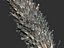 Palm Animated Pack 9