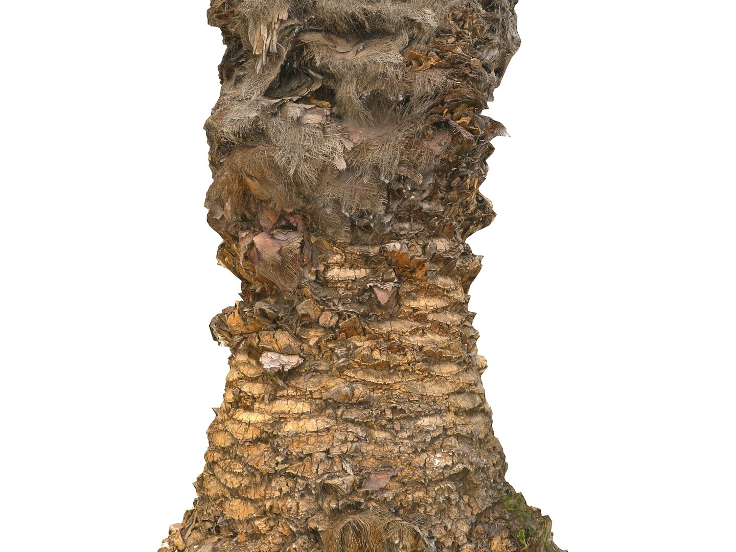 3D model palm pack 9 tree https://p.turbosquid.com/ts-thumb/In/MEwaJX/ovgLAVf7/090/jpg/1567118340/1920x1080/fit_q87/be6dee26c1327909a293cc6c2c5b727a1219d369/090.jpg