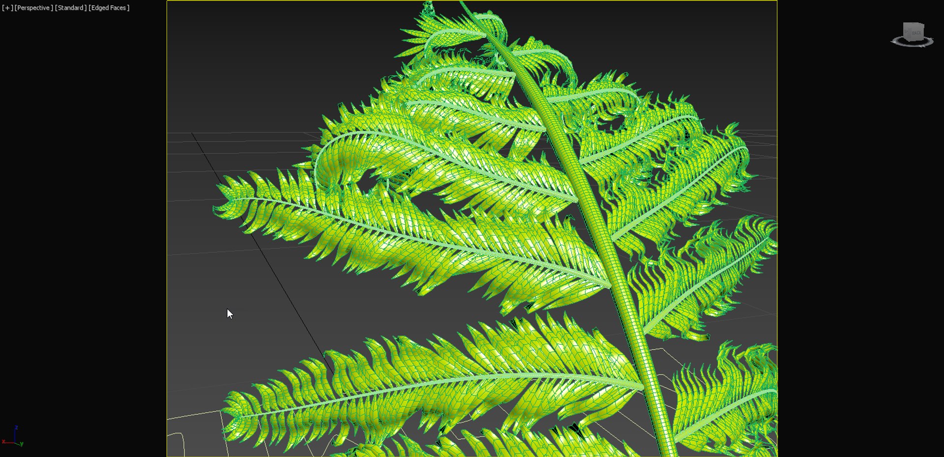 Growing Fern 3D Model - TurboSquid 2073239