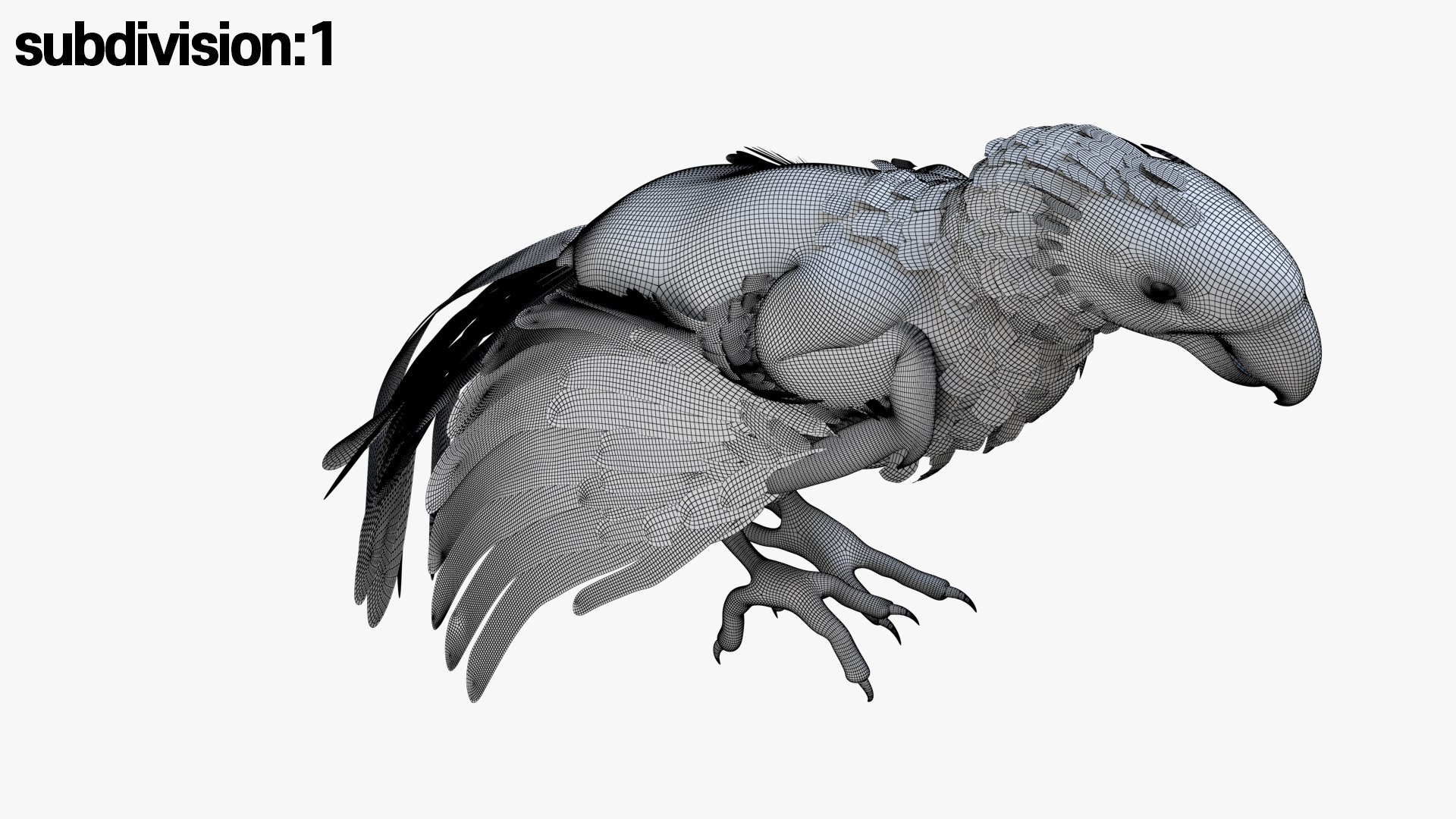 ScarletMacawParrot Animated Rigged 3D 3D Model - TurboSquid 2445029