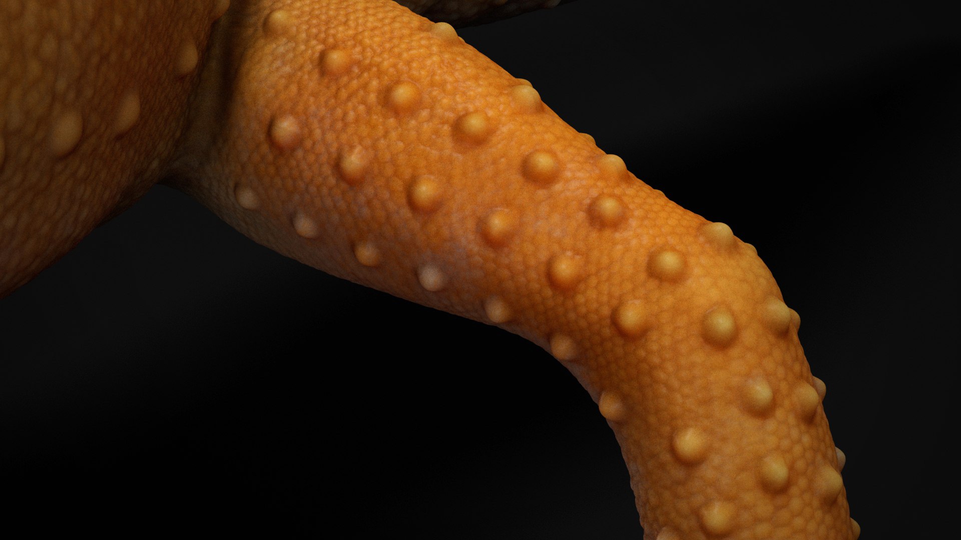 3D 4K Leopard Gecko Orange model https://p.turbosquid.com/ts-thumb/In/lUNvF9/Cn/s7copy/jpg/1754852926/1920x1080/fit_q87/a667d9af315a52859256e3fa36c64399abe29d96/s7copy.jpg