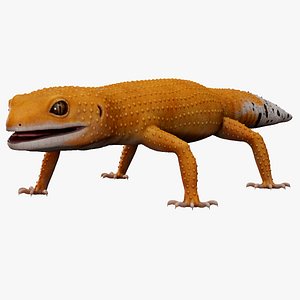 3D 4K Leopard Gecko Orange model