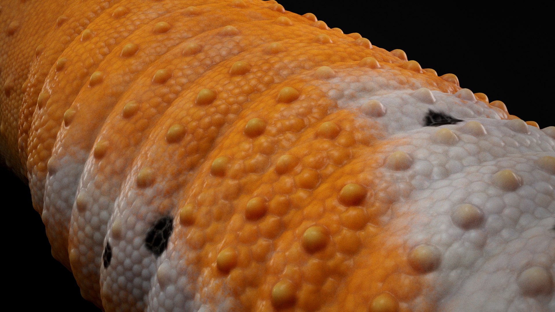 3D 4K Leopard Gecko Orange model https://p.turbosquid.com/ts-thumb/In/lUNvF9/xL/s6copy/jpg/1754852926/1920x1080/fit_q87/8211ea9eaa1fa701b5d6e318d21564e28d002447/s6copy.jpg