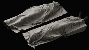 3D Covered Corpse 03