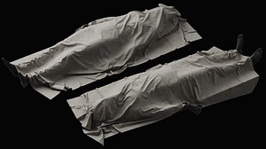 Covered Corpse 03